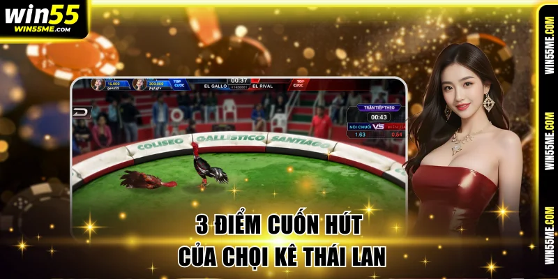 3 điểm cuốn hút của chọi kê Thái Lan