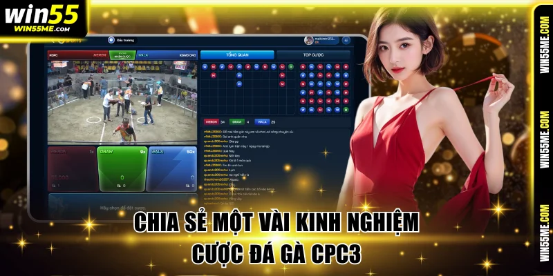 Chia sẻ một vài kinh nghiệm cược đá gà CPC3