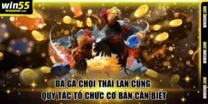 Đá gà chọi Thái Lan
