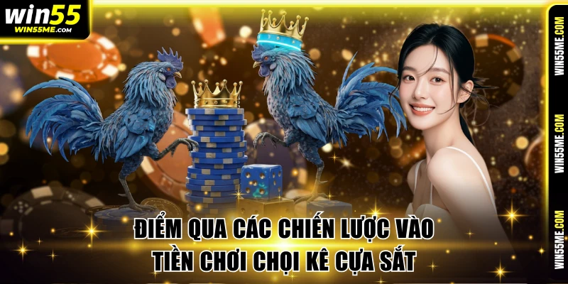Điểm qua các chiến lược vào tiền chơi chọi kê hay