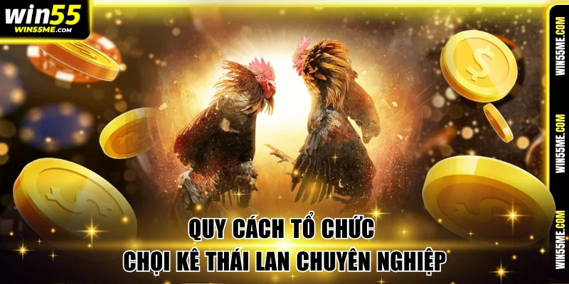 Quy cách tổ chức chọi kê Thái Lan chuyên nghiệp