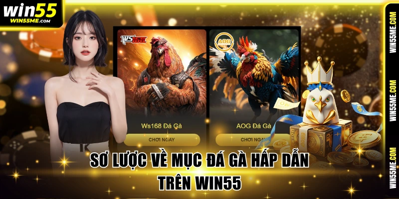 Sơ lược về mục đá gà hấp dẫn trên Win55