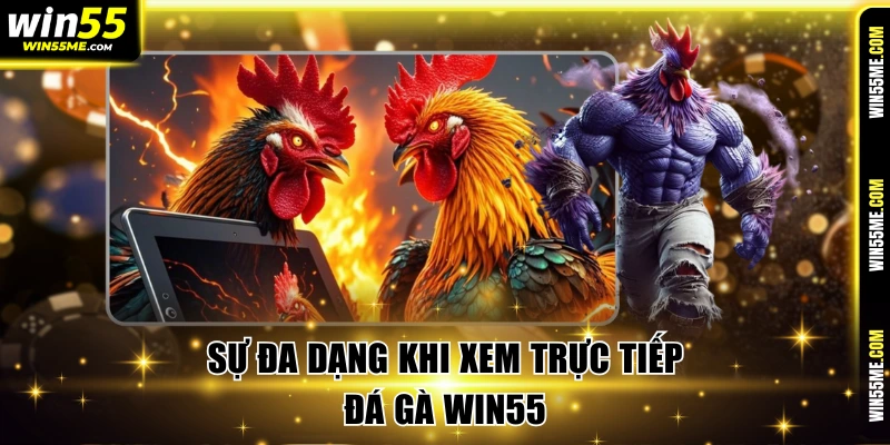 Sự đa dạng khi xem trực tiếp đá gà Win55
