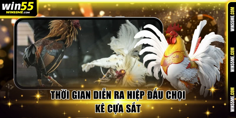 Thời gian diễn ra hiệp đấu chọi kê cựa sắt