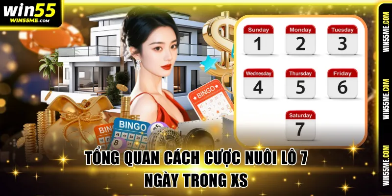 Tổng quan cách cược nuôi lô 7 ngày trong XS